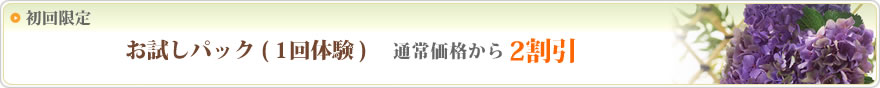 初回限定 お試しパック(1回体験) 通常価格から2割引